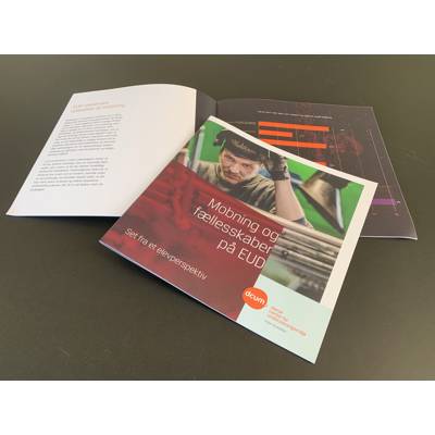 Mobning og fællesskab EUD