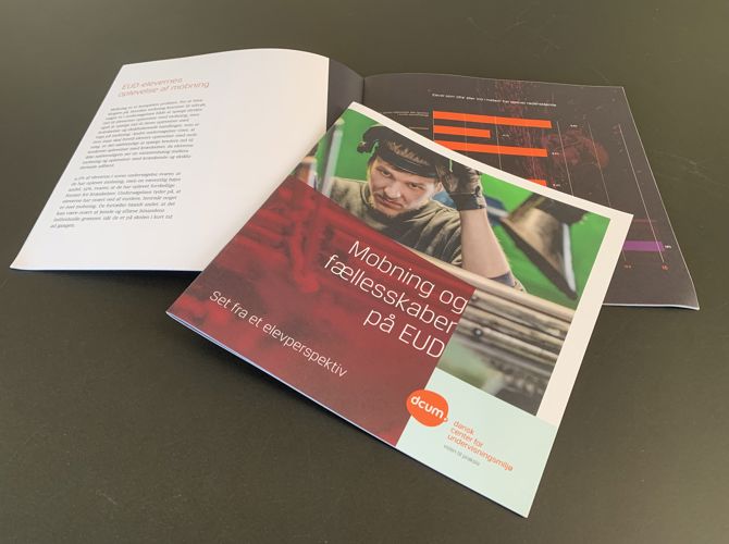 Mobning og fællesskab EUD