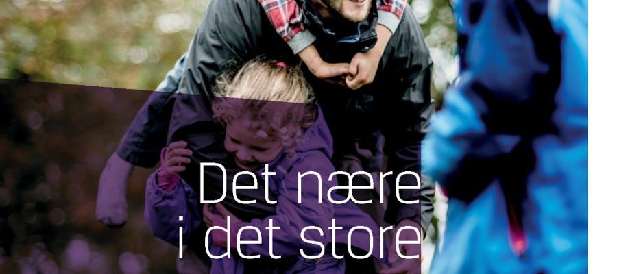 Det nære i det store - forside