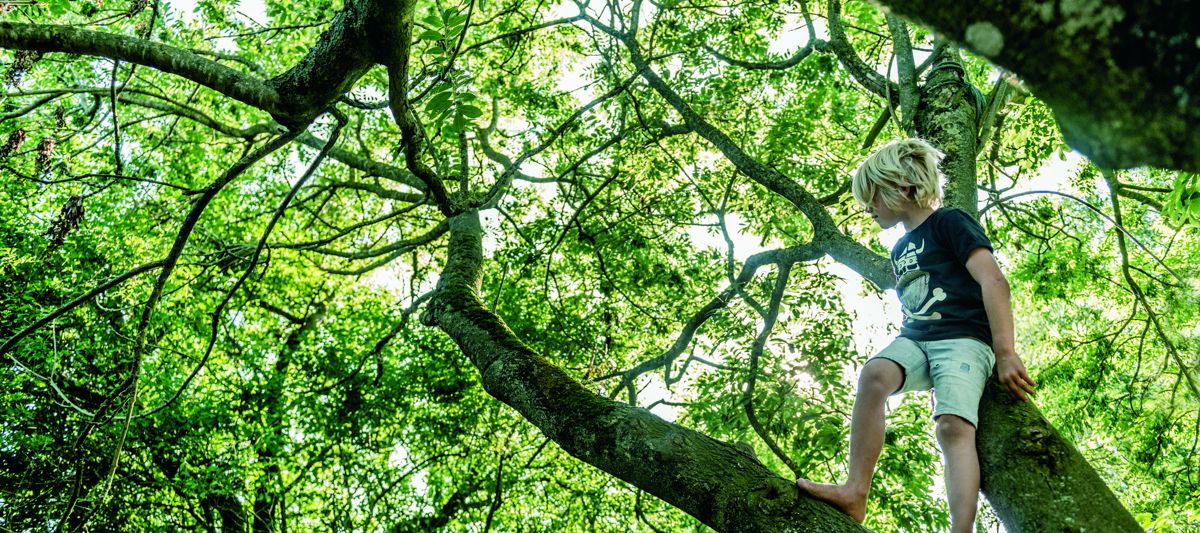 DCUM UDVALG 3 High (52 Of 66)