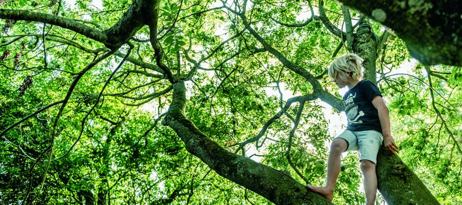 DCUM UDVALG 3 High (52 Of 66)