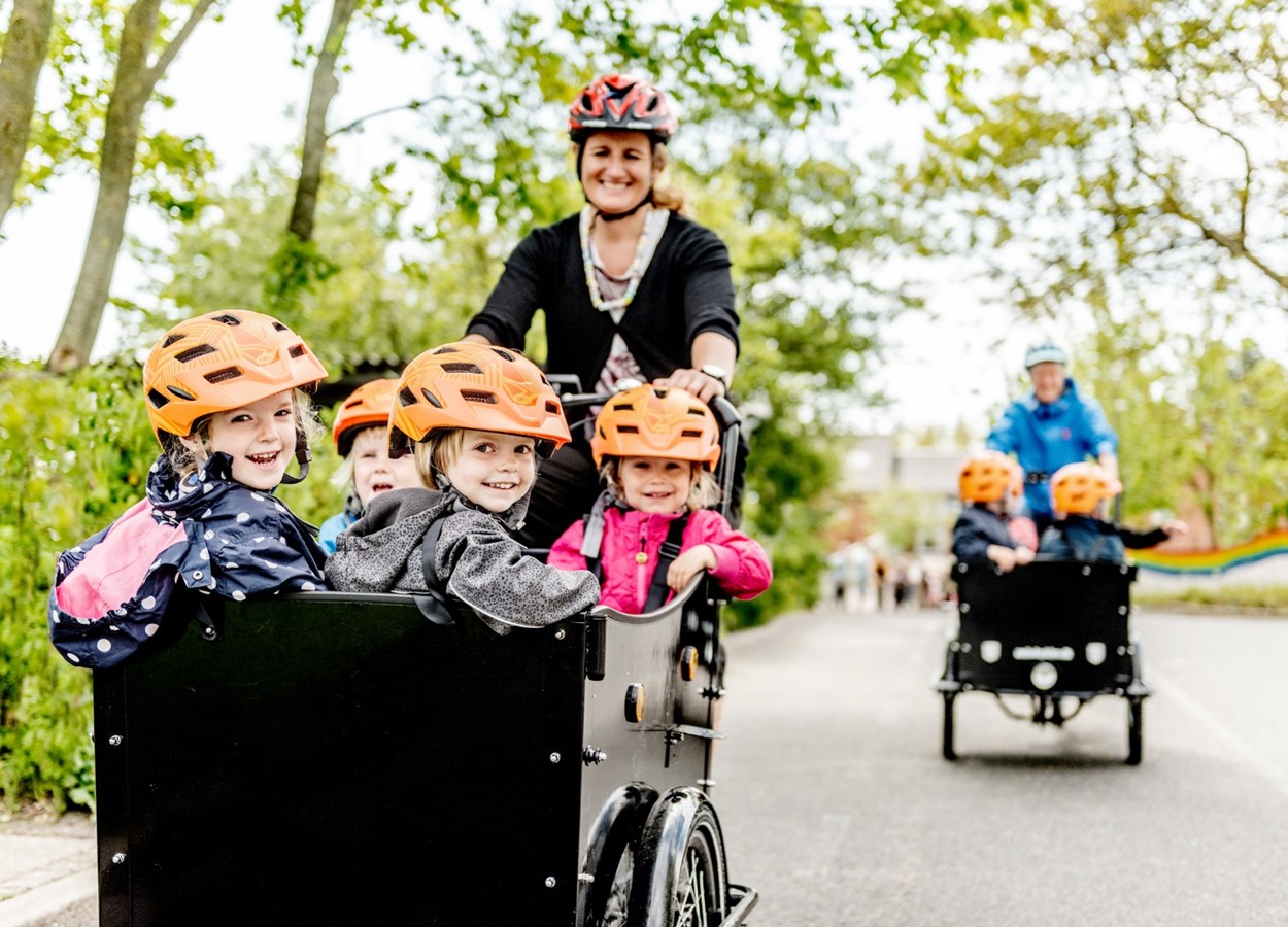 Dcum 3 Jammerbugt Low 28 Of 56